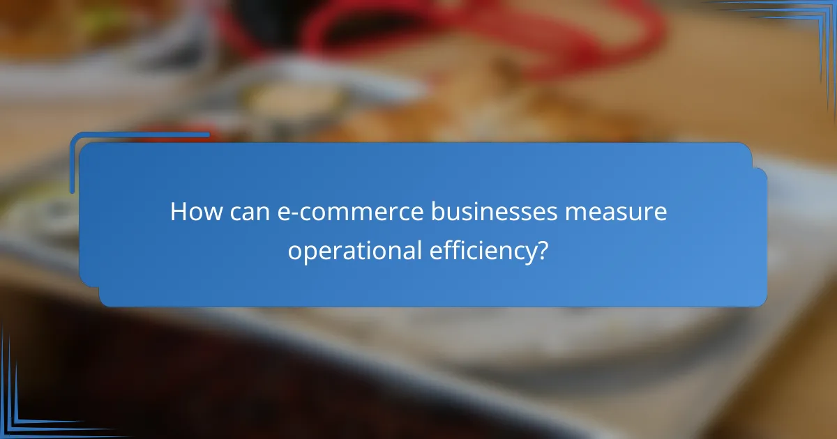 How can e-commerce businesses measure operational efficiency?