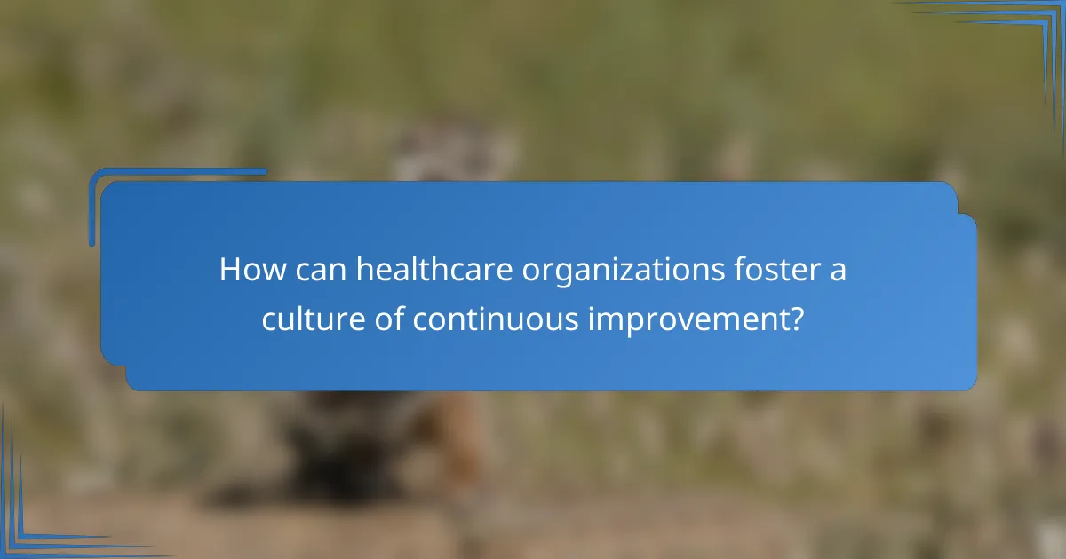 How can healthcare organizations foster a culture of continuous improvement?