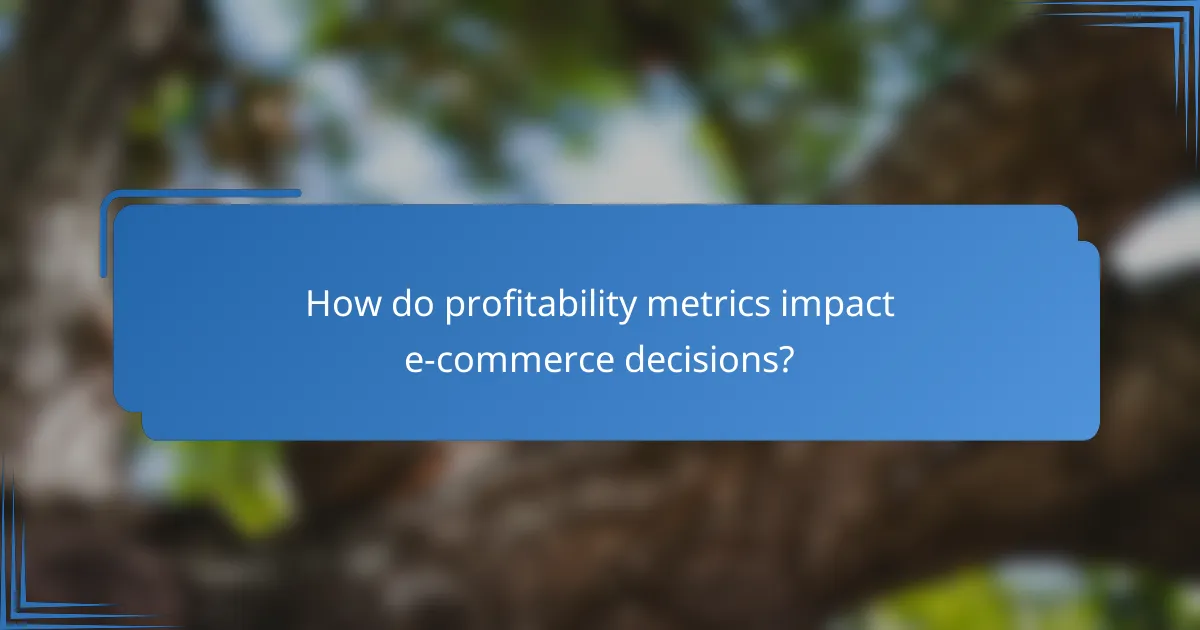 How do profitability metrics impact e-commerce decisions?