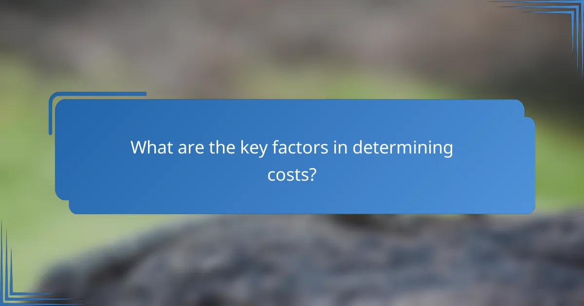 What are the key factors in determining costs?
