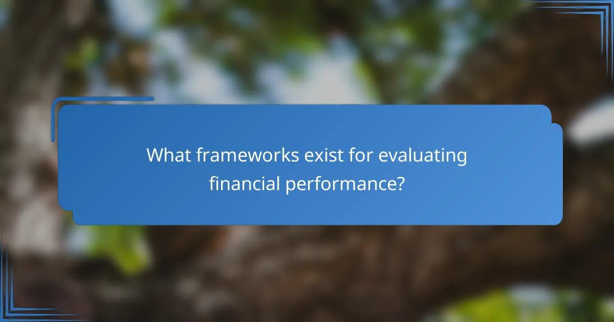 What frameworks exist for evaluating financial performance?